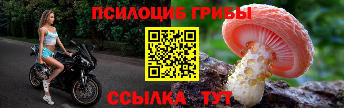 Нижнекамск  Галлюциногенные грибы прущие грибы  наркотики  Вход с VPN 